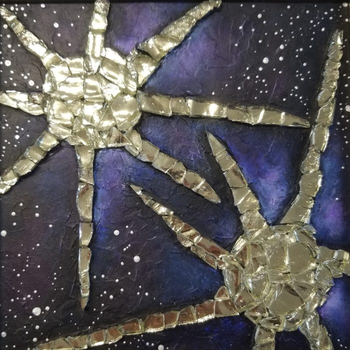 8-Sirius et Canopus